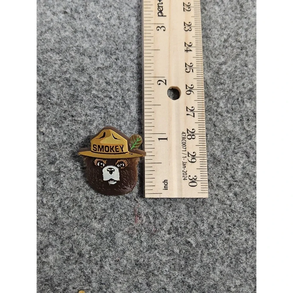 Classic Smokey The Bear Face In Ranger Hat Wildfires Pin Button New 2000's